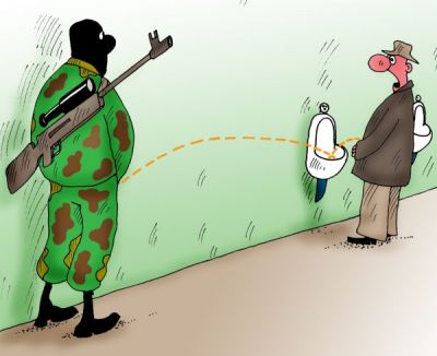 что снится seo оптимизаторам